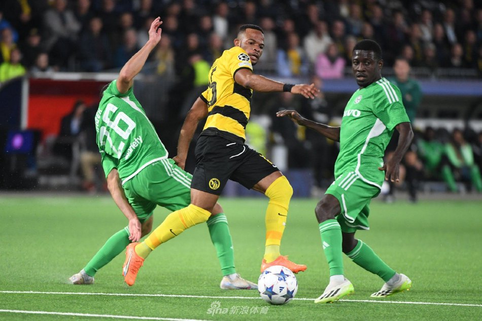 国女足在战 国女足在战